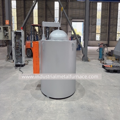 কেনা WDL-RBY-100 লোহাঘটিত ধাতু এবং সংকর ধাতুগুলির জন্য শিল্প গলন চুল্লি online manufacture